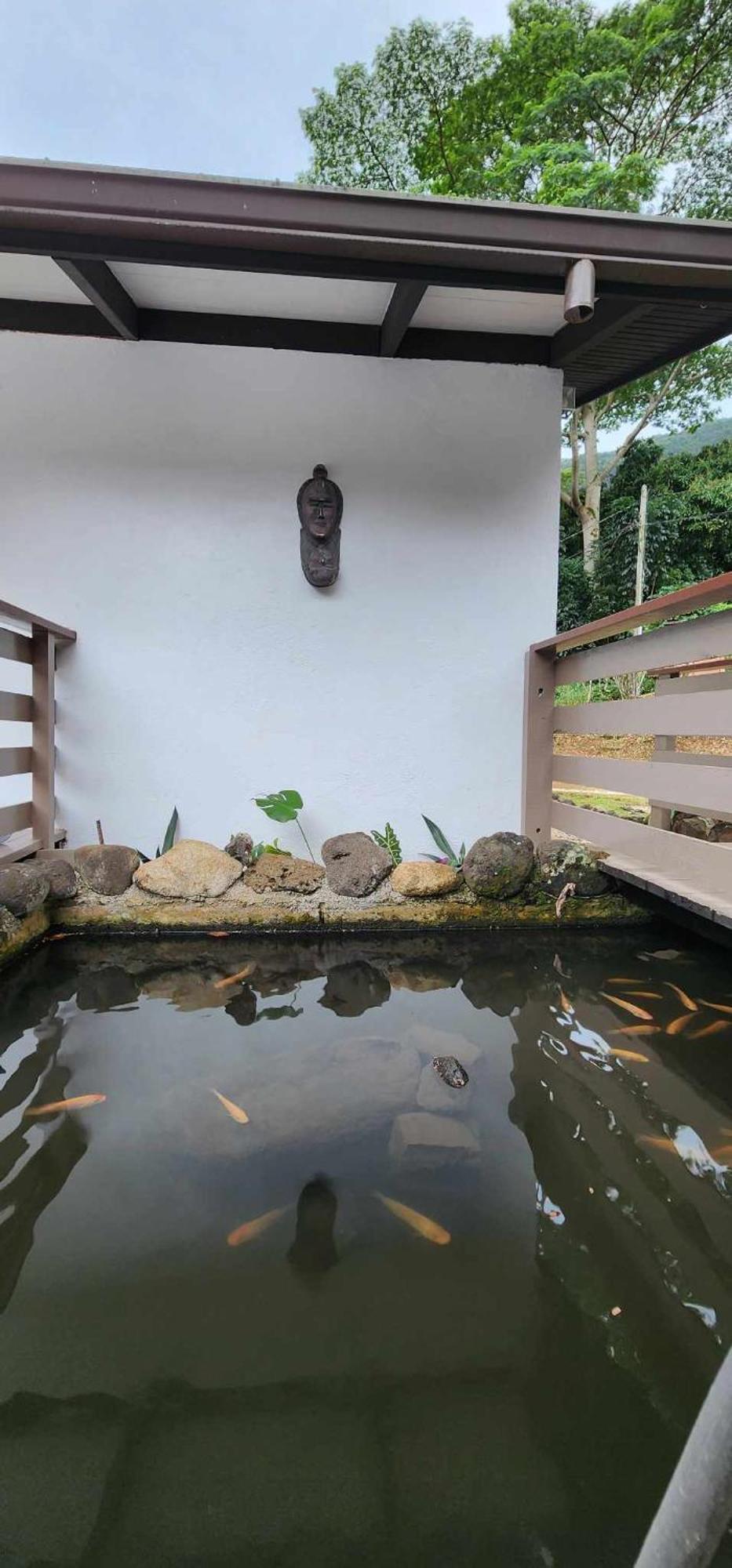 Appartements Au Coeur De Maharepa Maharepa  Kültér fotó